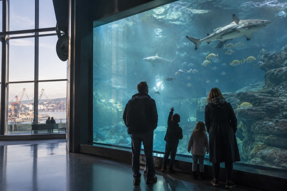 A family with children looking up at a large aquarium tank with sharks and tropical fish
