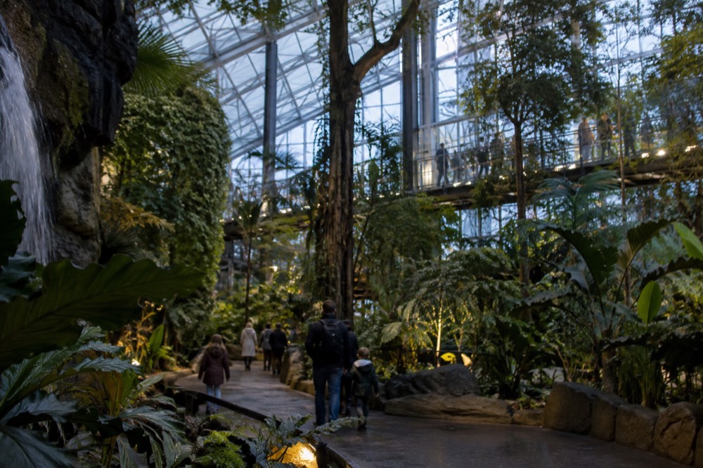 Families walking through a glass-roofed rainforest hall with tall trees and a raised walkway