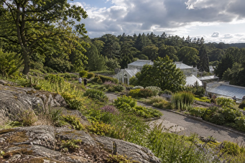 Perennial beds and gravel paths in a large botanical garden on a mild summer morning