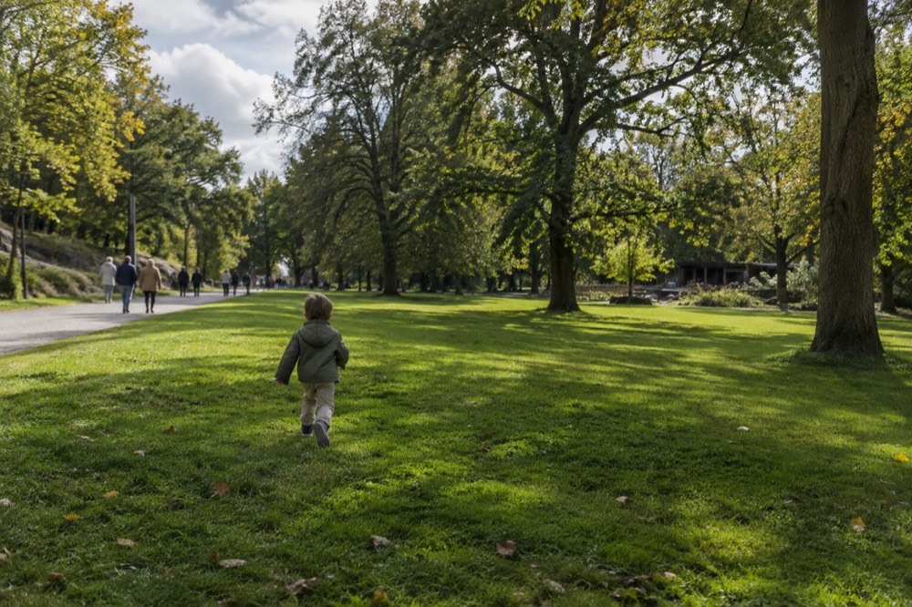 A wide green park lawn in Gothenburg with tree-lined paths and people walking in the distance