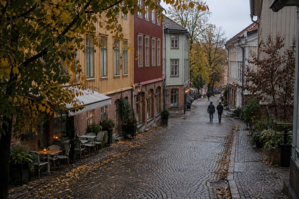 Wet cobblestone street with autumn leaves in the Haga quarter of Gothenburg