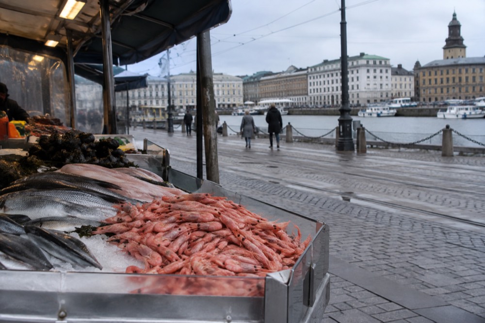 Fresh seafood and shrimp displayed on a fish market counter