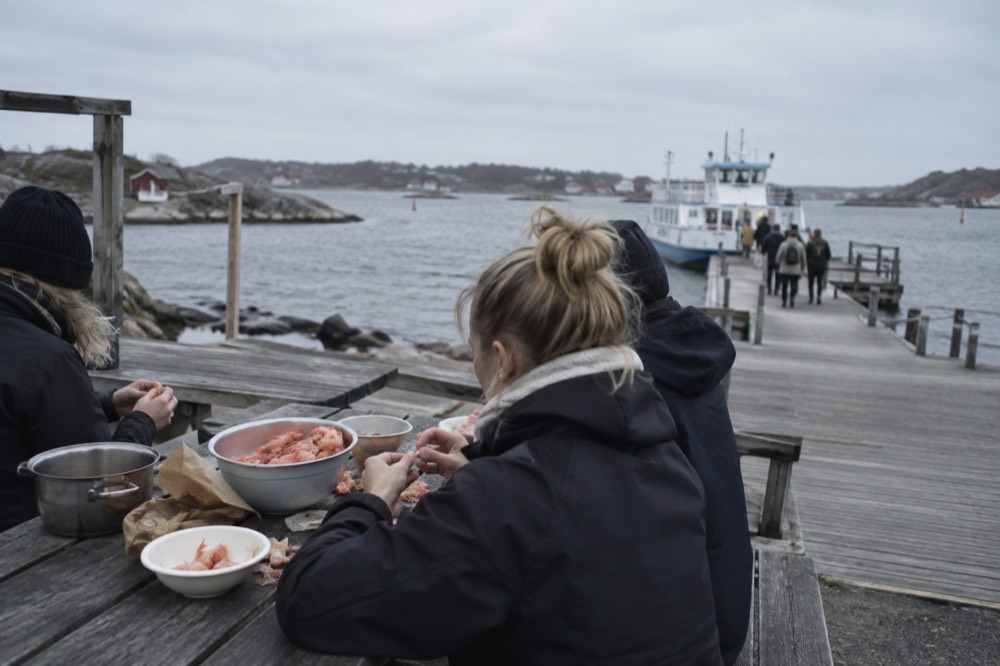 Boiled shrimp being peeled at a wooden picnic table beside a ferry pier on a Gothenburg archipelago island