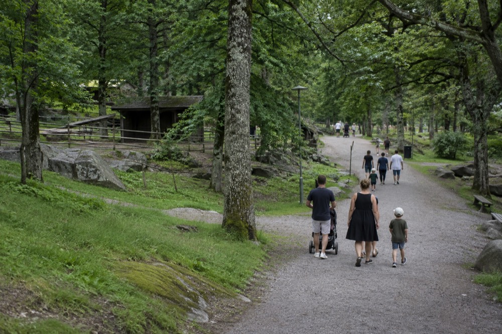 Families walking a tree-lined path in Slottsskogen park in summer